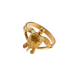 Sea Turtle Rings