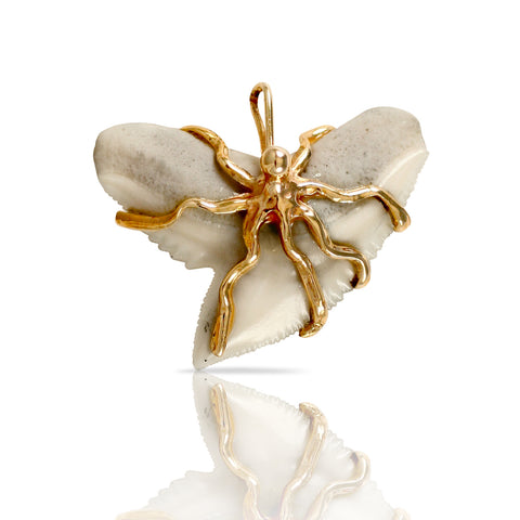 10211t - Octopus Shark Tooth Pendant