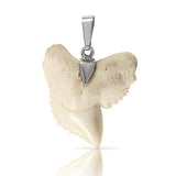 10216t - Shark Tooth Pendant