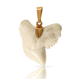 10216t - Shark Tooth Pendant