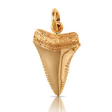 10263 - Metallic Shark Tooth Pendant