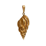 10287 - 1 1/4" Buccinid Whelk Shell Pendant
