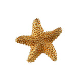 3/4" Nubby Starfish Pendant with Hidden Bail - Lone Palm Jewelry