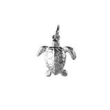 15944 - 3/4" Kemp's Ridley Turtle - Lone Palm Jewelry