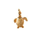 15945 - 7/8" Loggerhead Turtle - Lone Palm Jewelry