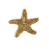 21037 - SAND Star Fish