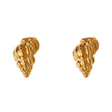 30202 - Vibex Shell Stud Earrings