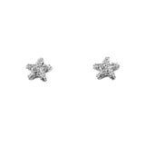 30733 - 1/4" Nubby Starfish Stud Earrings