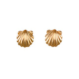30791 - 3/8" Scallop Shell Stud Earrings