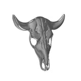 10606 - Southwestern Steer Skull