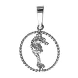 10790 - 3/4" Seahorse in Rope Frame