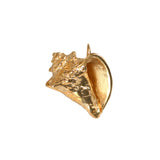 11283 - 3/4" Hollow Conch Pendant