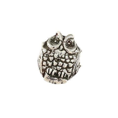 13307 - Owl Bead