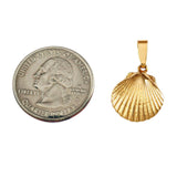 1" Scallop Shell Pendant - Lone Palm Jewelry