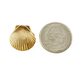 3/4" Scallop Shell with Hidden Bail - Lone Palm Jewelry