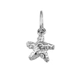 15356 - 3/16" Starfish Charm - Lone Palm Jewelry