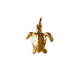 15944 - 3/4" Kemp's Ridley Turtle - Lone Palm Jewelry