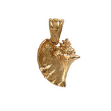 18118 - 3/4" Crown Conch Pendant