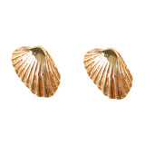 30203 - Cardita Clam Shell Stud Earrings