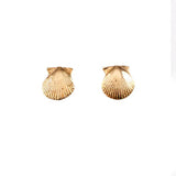 30208 - Scallop Shell Stud Earrings