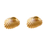 30227 - Cardita Clam Shell Post Earrings
