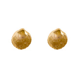 30238 - Cockle Shell Earrings