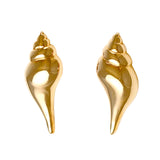 30283 - 7/8" Tulip Shell Earrings