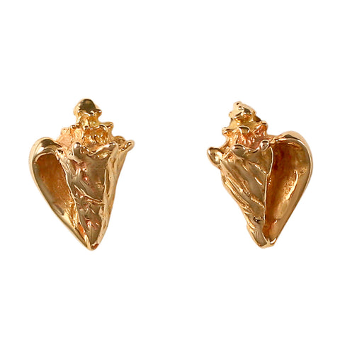 30491 - 3/8" Conch Earrings