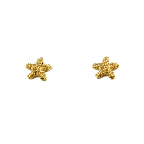 1/4" Nubby Starfish Stud Earrings - Lone Palm Jewelry