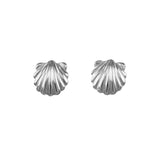 30791 - 3/8" Scallop Shell Stud Earrings